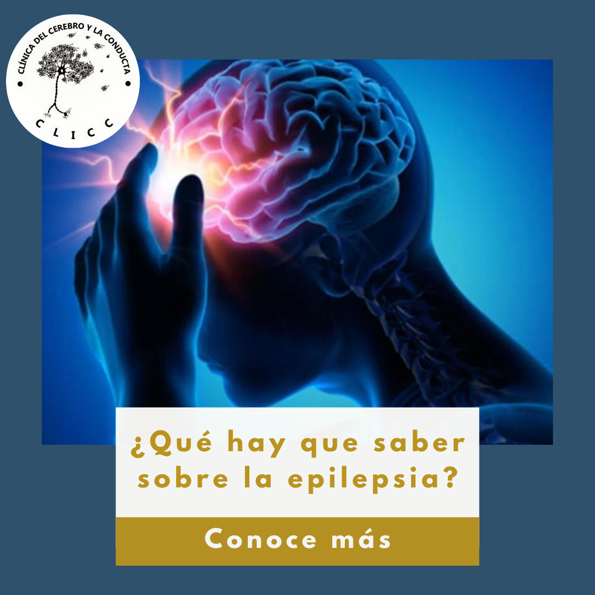 Qué Hay Que Saber Sobre La Epilepsia? – CLICC – Clinica Del.